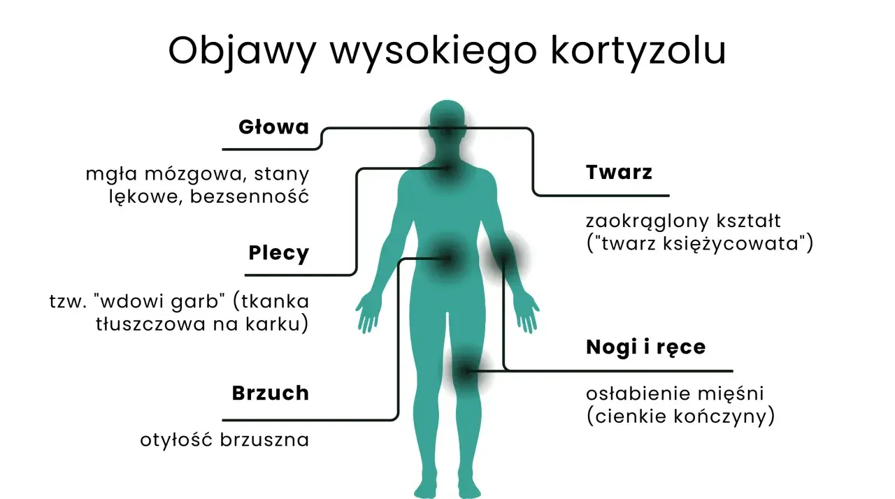 Nadmiar kortyzolu objawy: mgła mózgowa, lęki, bezsenność, garb, otyłość brzuszna, księżycowata twarz, osłabienie mięśni.