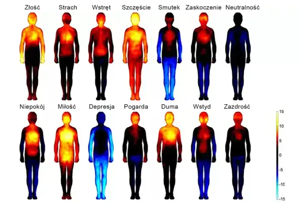 Wizualizacja rozkładu ciepła w ciele dla różnych emocji. Widzimy, jak kiedy mija ból w depresji, ciepło wraca do ciała.