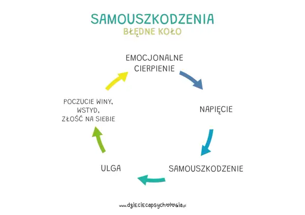 Błędne koło samouszkodzenia: cierpienie emocjonalne prowadzi do napięcia, które skutkuje samouszkodzeniem, dając chwilową ulgę, ale potem wraca poczucie winy, wstydu i złości na siebie. To samospełniająca się przepowiednia.