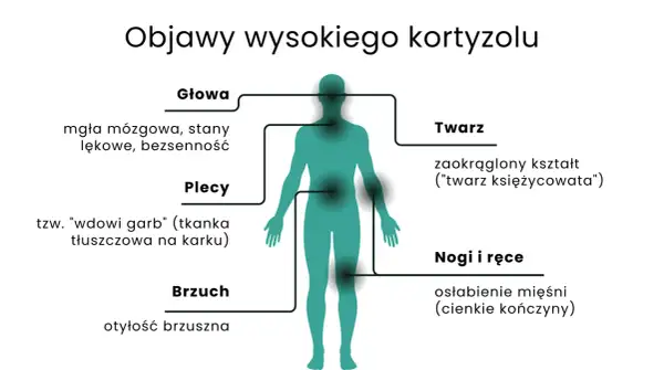 Nadmiar kortyzolu objawy: mgła mózgowa, lęki, bezsenność, garb, otyłość brzuszna, księżycowata twarz, osłabienie mięśni.